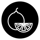 Citrus fruit icon