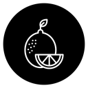 Citrus Fruit Slice icon