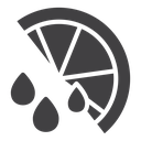 Citrus slice icon