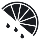 Citrus slice 2 icon