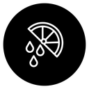 Citrus slice icon
