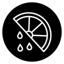 Citrus slice icon