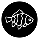 Clownfish icon