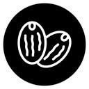 Cocoa Beans icon