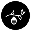 Cocoon 2 icon