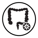 Colorectral cancer icon