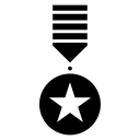 Condecoration Star Medal icon