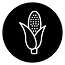Corn 2 icon