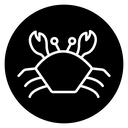 Crab 2 icon