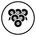 Cranberry icon