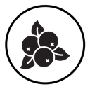Cranberry icon