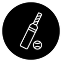 Cricket 2 icon