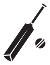 Cricket bat and ball icon