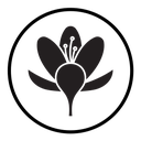 Crocus icon