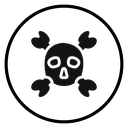 Crossbones skull icon