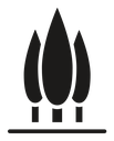 Cypress tree icon