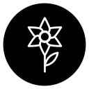 Daffodil icon