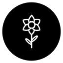 Daffodil Flower icon