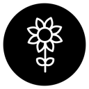 Daffodil Flower icon