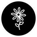 Daisy Flower icon