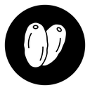 Date fruit icon