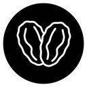 Date fruit icon
