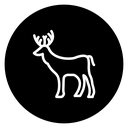 Deer icon