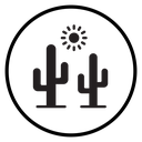 Desert cactus icon