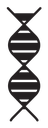 DNA icon