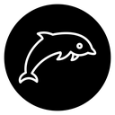 Dolphin 4 icon