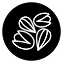 Dry fruit icon