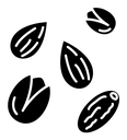 Dry fruit icon