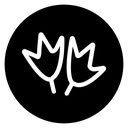 Duck paw icon