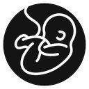 Embryo Child icon