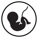 Embryo Child icon