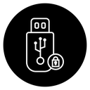 Encrypted pendrive icon