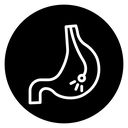 Endoscopy icon