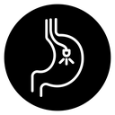Endoscopy icon