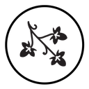 English ivy icon