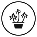 English ivy icon