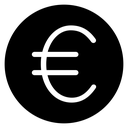 Euro icon