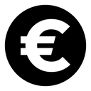 Euro icon