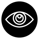 Eye 2 icon