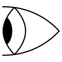 Eye Side Profile icon