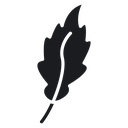 Feather 6 icon