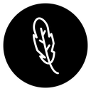 Feather 2 icon