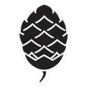Fir cone icon