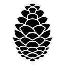 Fir cone icon