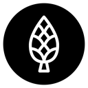 Fir cone icon