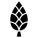 Fir cone icon